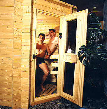 Le sauna